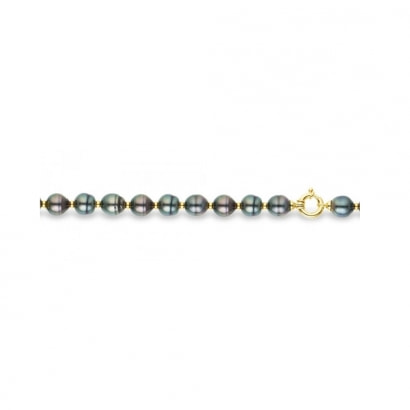 Black Circled Tahitian Pearls Bracelet and Yellow Gold 375/1000