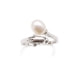 Freshawater Pearl Dolphin Ring and 18K white Gold plated Mounting