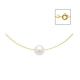 White Freshwater Pearl Cable Necklace and Yellow Gold 750/1000