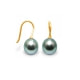 Tahitian Pearl Hooks Earrings and yellow gold 375/1000