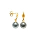 Tahitian Pearl Earrings and yellow gold 750/1000 2,1 gr